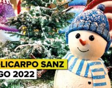 Descubre las mejores tiendas en la Calle Policarpo Sanz de Vigo: tu destino ideal para ir de compras en tu viaje de turismo